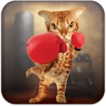 Logo of Boxing Cat android Application 