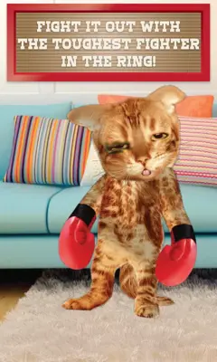 Boxing Cat android App screenshot 0