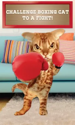 Boxing Cat android App screenshot 1